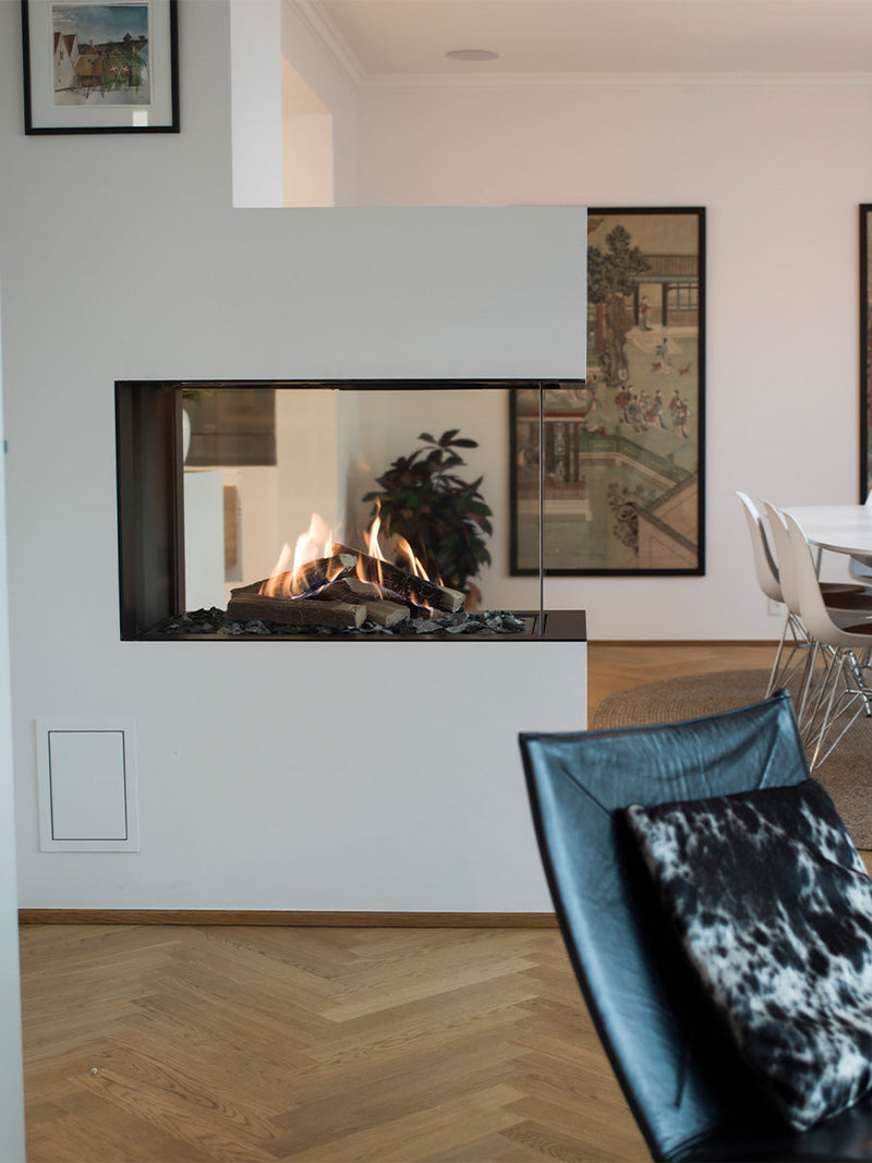 RAIS Visio Gas Fireplace Inserts Room Divider