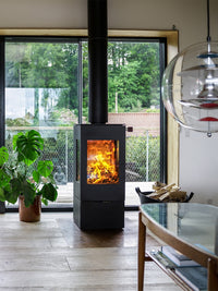 Elegant RAIS Nexo 100 wood burning stove with glass door, showcasing smooth surfaces and large glass panes.