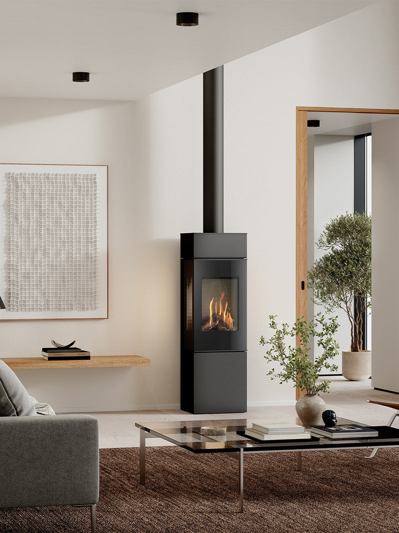 Elegant RAIS Nexo 120 gas fireplace with glass door, showcasing clean lines and large glass panes in a modern living space.