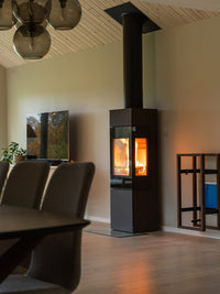 RAIS Nexo 120 Wood Burning Stove with a Glass Door