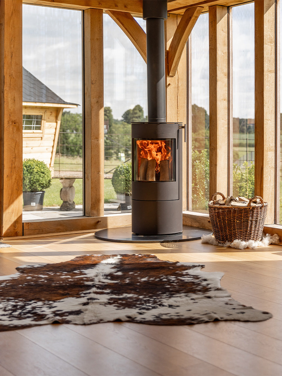 Side view of the RAIS Viva L 100 wood burning stove with a glass door, showcasing its sleek design and curved glass.